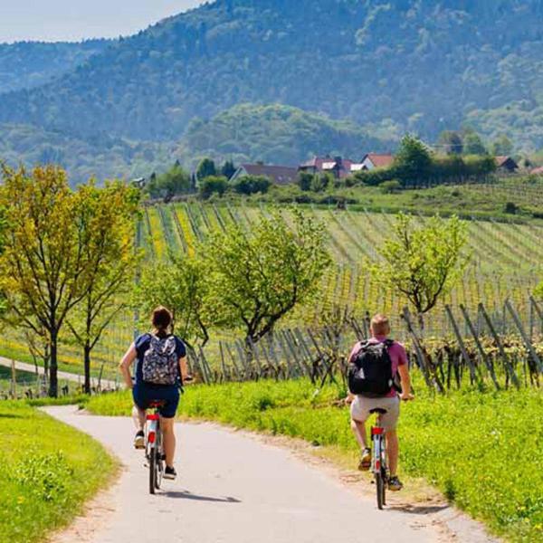 Bed & Breakfast Residenza Ilde *
