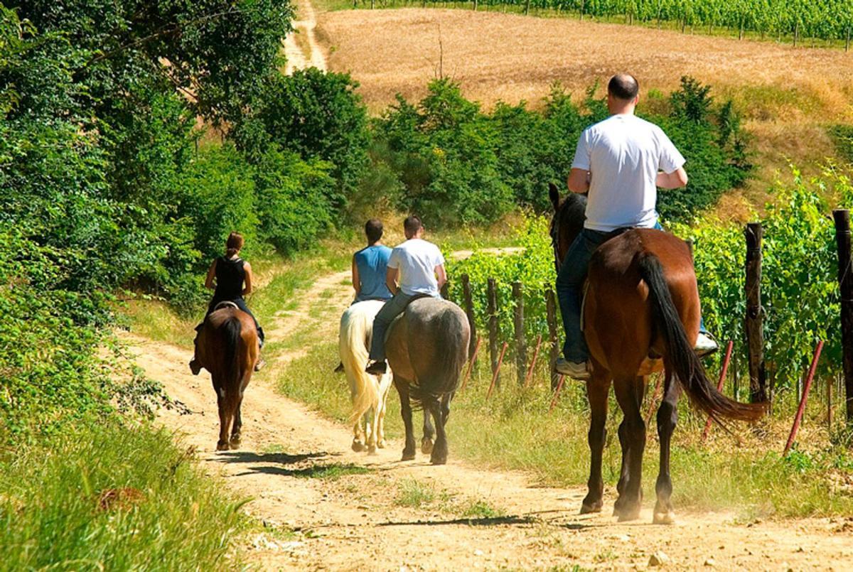 Bed & Breakfast Residenza Ilde Corpolo