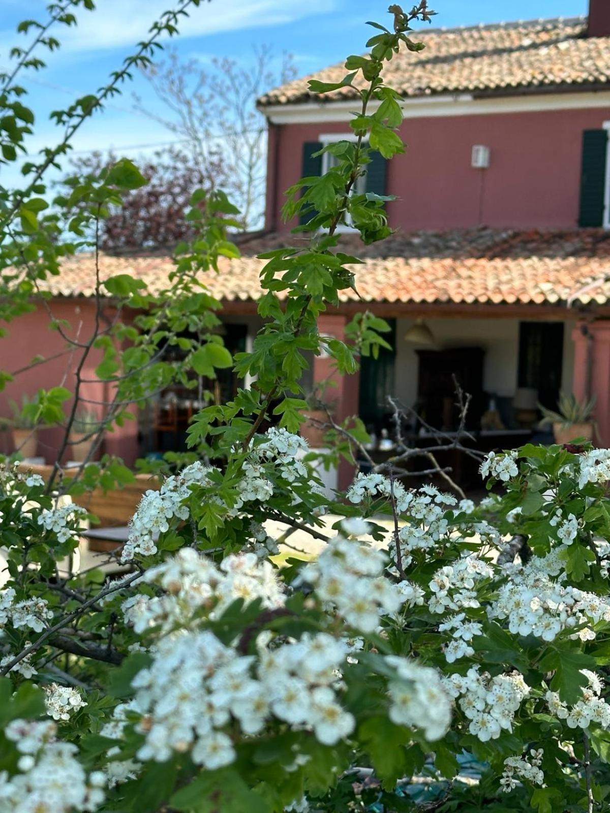 Residenza Ilde Bed & Breakfast *