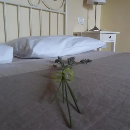 Residenza Ilde Bed & Breakfast Corpolo Exterior photo